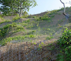 Tecco scarpate