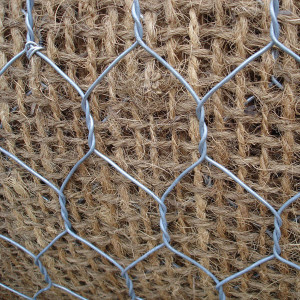 ARCO700 particolare