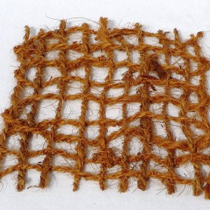 biostuoia cocco K4