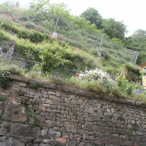 barriera paramassi