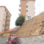terra rinforzata con geogriglie