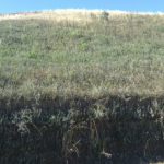 Terra Rinforzata con geogriglie