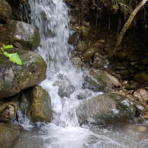 Acqua